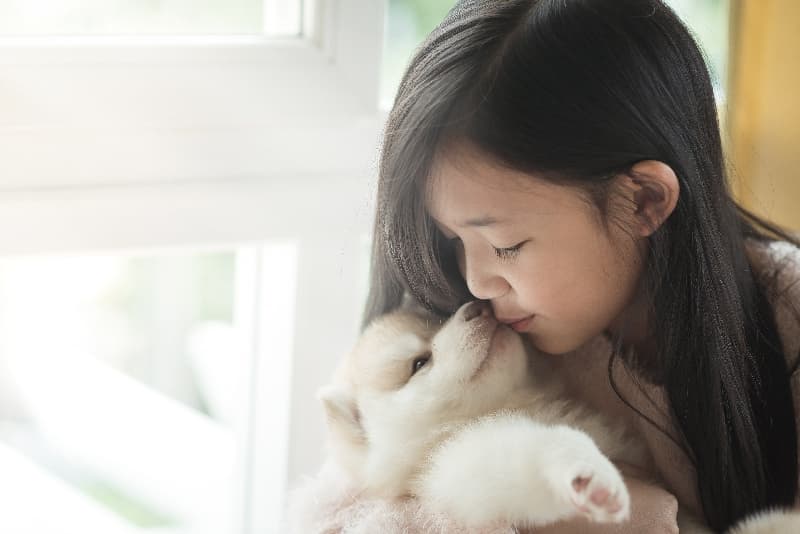 안양강아지파양·안양강아지보호소 전경 — 실제 보호소 사진 1